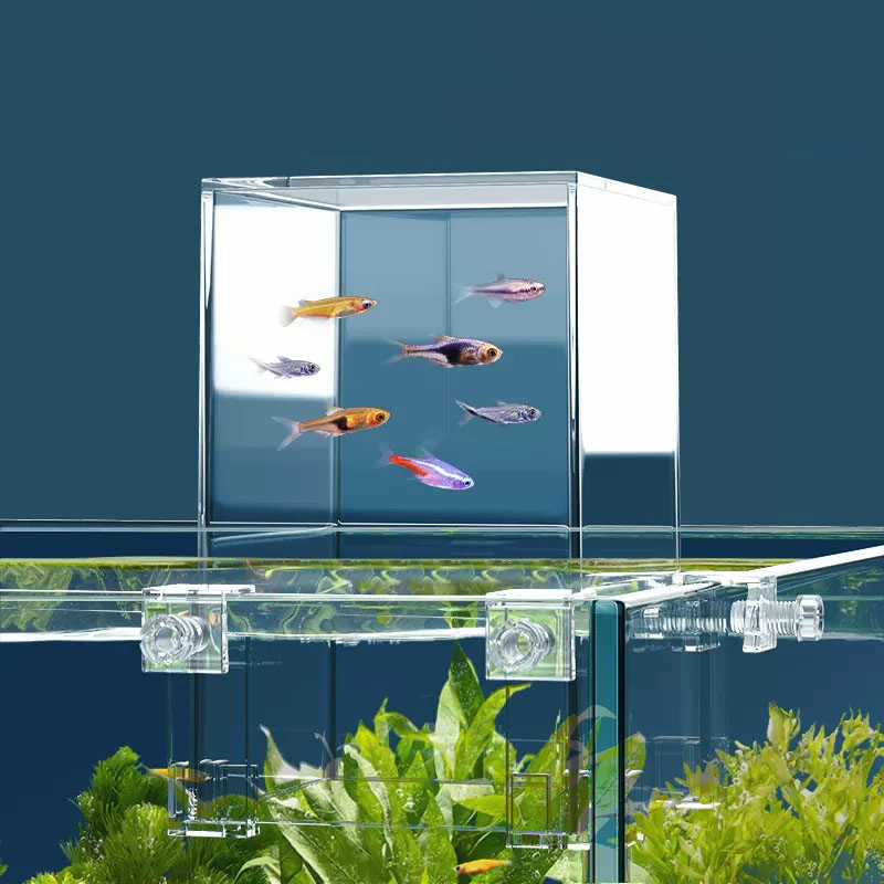 Box Úp Ngược Bể Cá