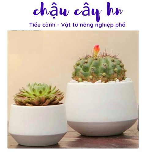 Chậu sứ Bát Tràng Hình kim cương Thấp trồng cây Để Bàn, Cây Nội Thất, Sen Đá, Xương rồng, Cây Bon sai cực kỳ đáng yêu