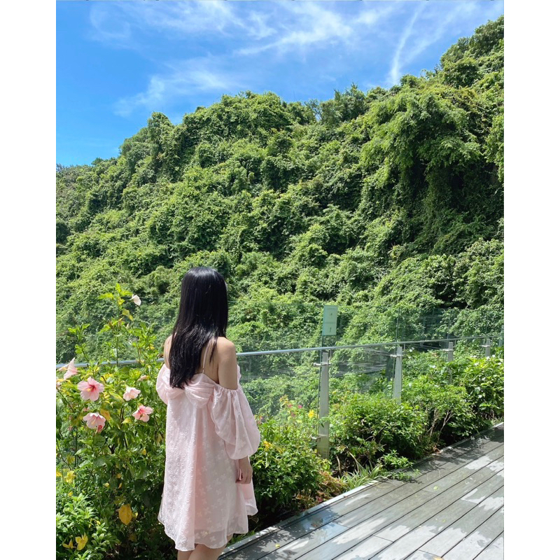 Pass váy trễ vai màu hồng nhạt Linn Design