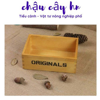 Chậu gỗ Original trồng cây tiểu cảnh