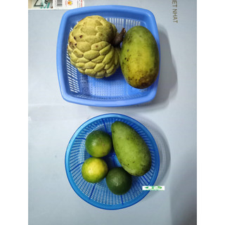 Rổ nhỏ đa năng - SONG LONG - đủ size