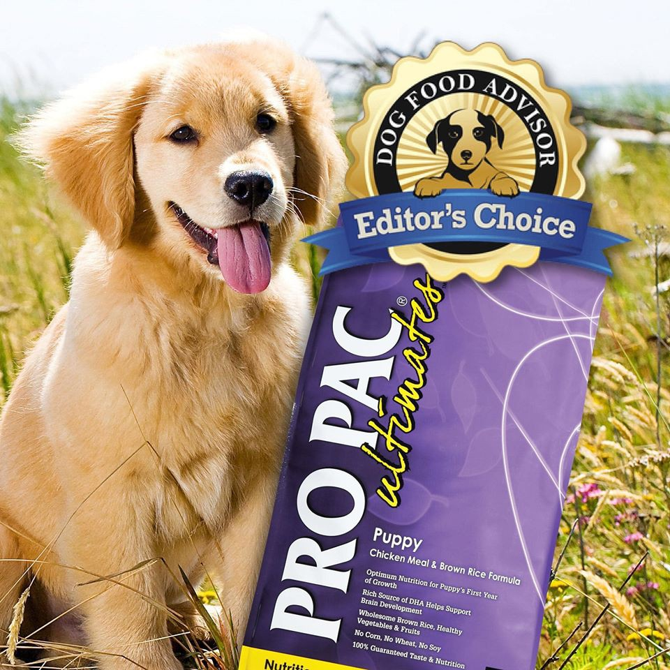 ZIP - Hạt Pro Pac Ultimates Puppy cho Chó Con ăn dặm & Chó Mẹ cao cấp hạt nhỏ dễ nhai Best Puppy Dry Food DogFoodAdvisor