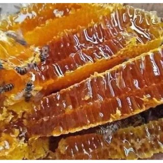 MẬT ONG HOA CÀ PHÊ giá chỉ 99/lít