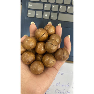 500G Hạt macca Daklak siêu ngon