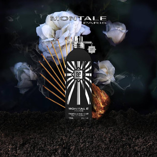 Nước Hoa Fantastic Oud 𝗠𝗢𝗡𝗧𝗔𝗟𝗘 EDP 10ml