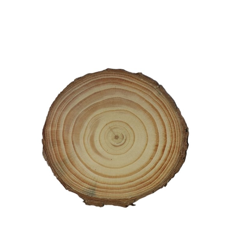 Lát gỗ trang trí nhiều kích thước