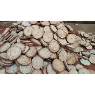 lát gỗ trang trí nhiều kích thước 10 cái
