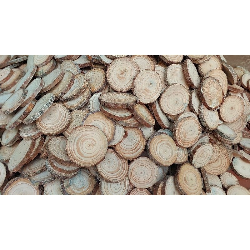 Lát gỗ trang trí nhiều kích thước