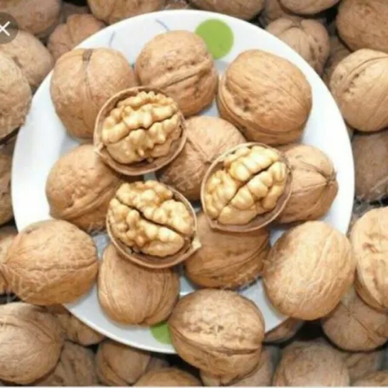 500G QUẢ ÓC CHÓ VÀNG MỸ