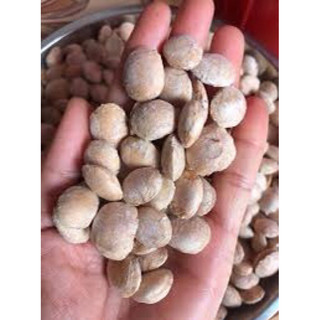500g hạt sachi loại nhân đã tách vỏ