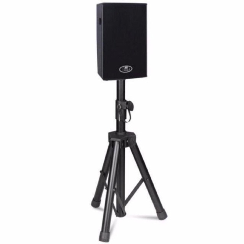 Chân Loa Thấp 65cm