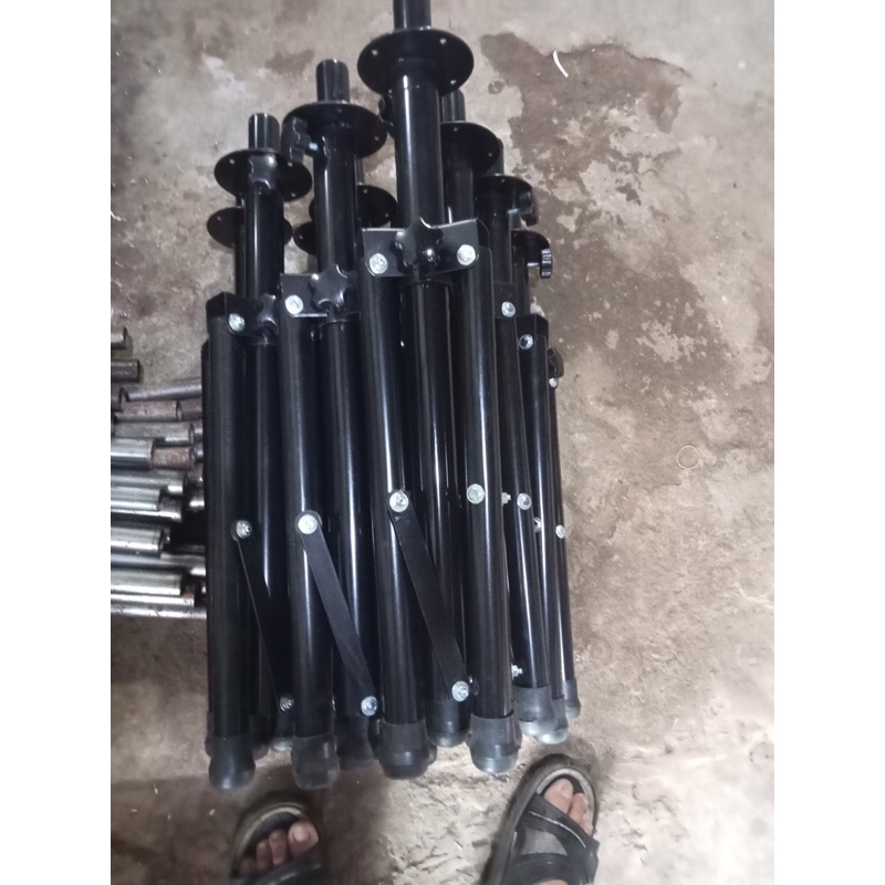 Chân Loa Thấp 65cm