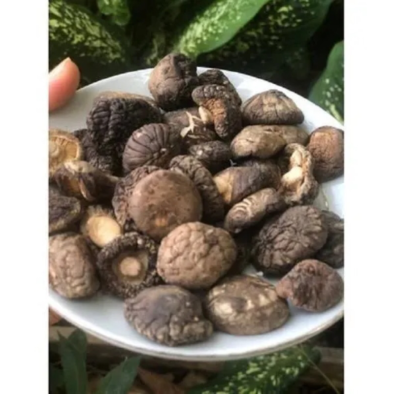 500G NẤM ĐÔNG CÔ KHÔ