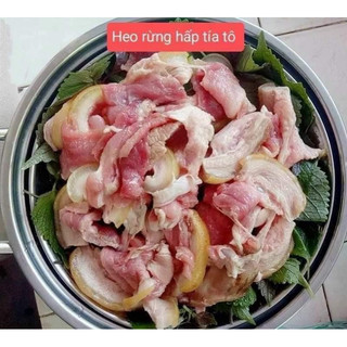 [1KG] BA RỌI HEO RỪNG ( HEO RỪNG CÂY)