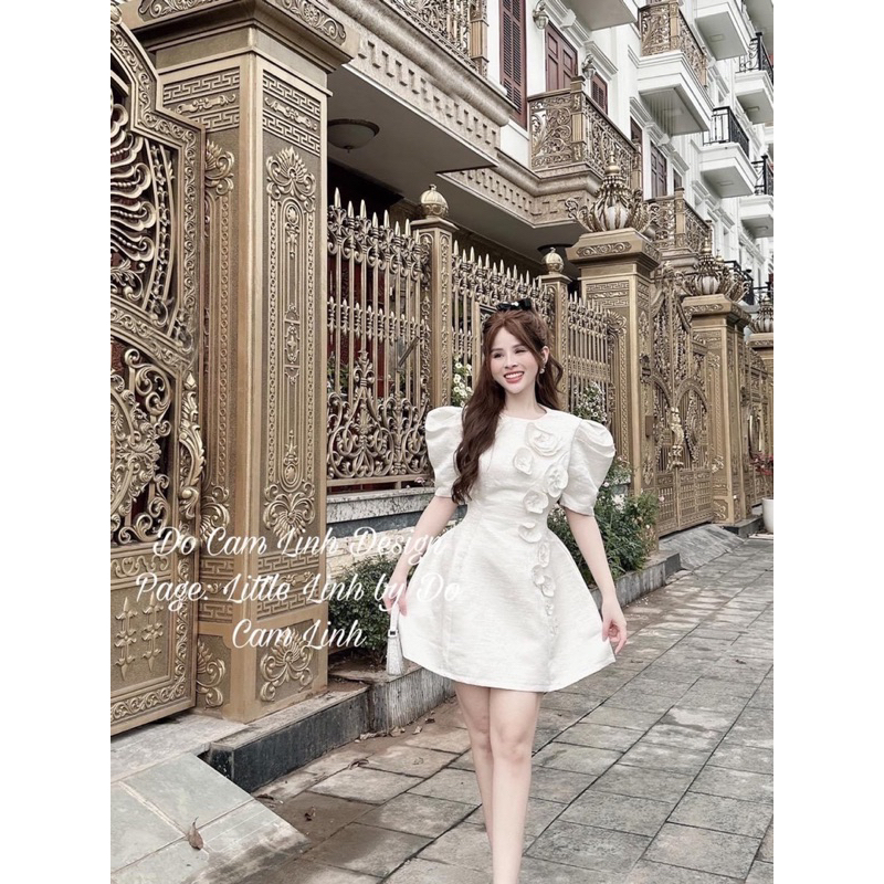 Đầm xoè Tafta kết hoa