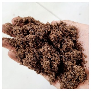 Giá thể Peatmoss, rêu than bùn cao cấp gói 1kg