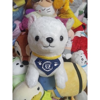 Gấu bông cún amuse size 40-45cm