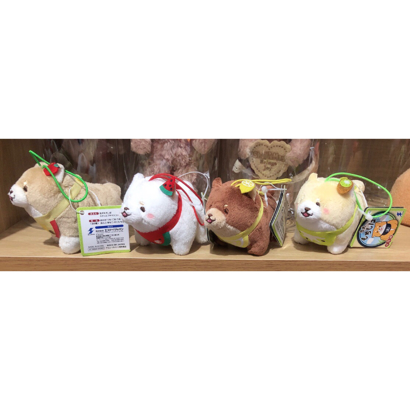 Set gấu bông shiba nhỏ