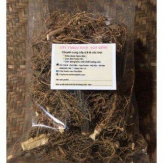 500g Rễ bồ công anh hỗ trợ điều trị ung thư
