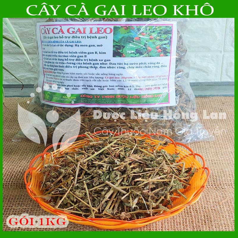 1kg Cây Cà Gai Leo khô sạch - Hàng chính hãng