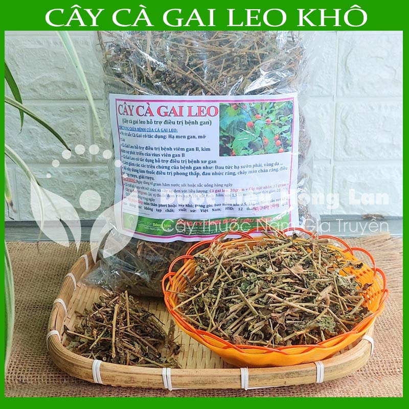 1kg Cây Cà Gai Leo khô sạch - Hàng chính hãng