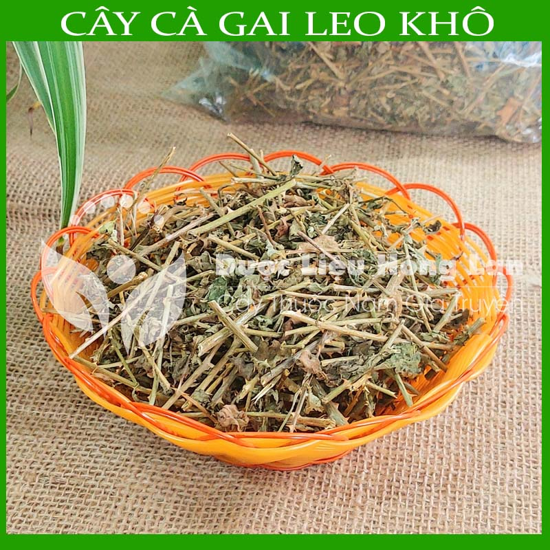 1kg Cây Cà Gai Leo khô sạch - Hàng chính hãng