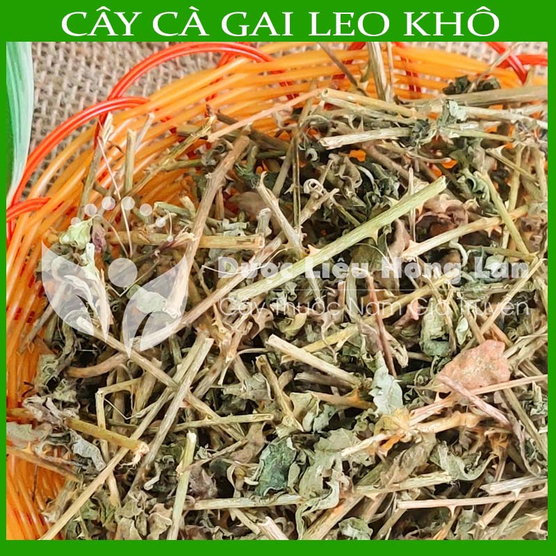 1kg Cây Cà Gai Leo khô sạch - Hàng chính hãng