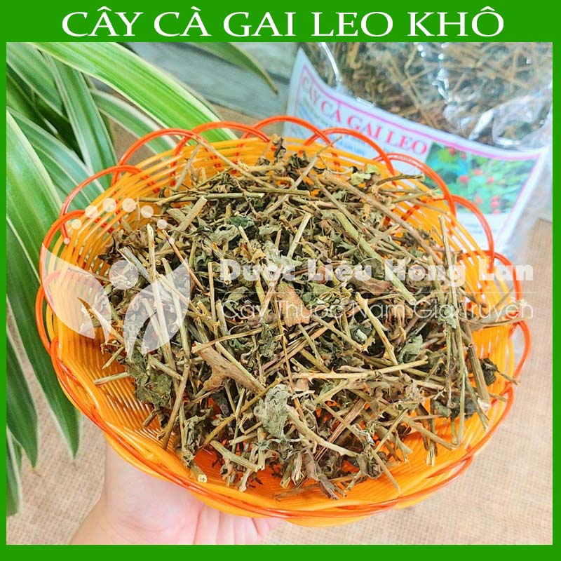 1kg Cây Cà Gai Leo khô sạch - Hàng chính hãng