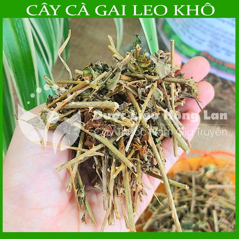 1kg Cây Cà Gai Leo khô sạch - Hàng chính hãng