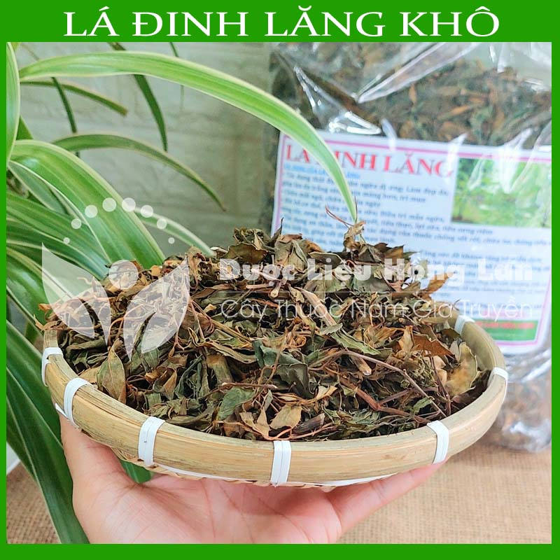 Thảo dược LÁ ĐINH LĂNG khô loại 1 đóng gói 500gram - congtyduoclieuhonglan