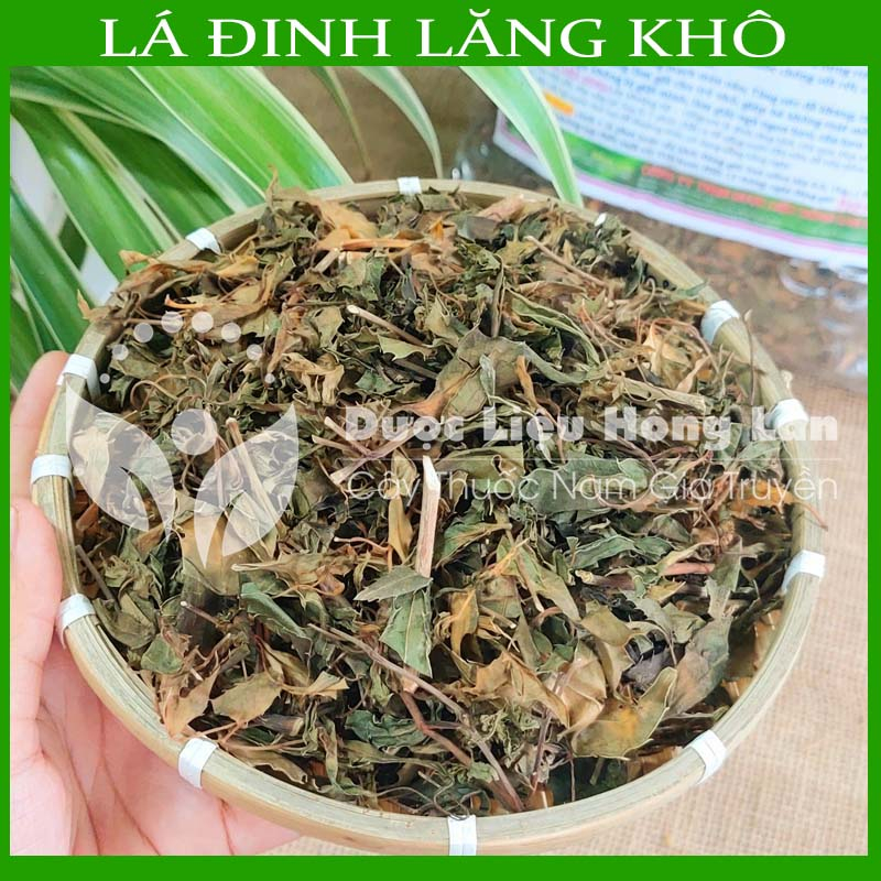 Thảo dược LÁ ĐINH LĂNG khô loại 1 đóng gói 500gram - congtyduoclieuhonglan