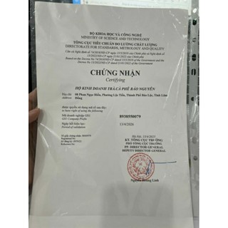 Trà Vải Túi Lọc WINDOTEA (50 túi lọc × 2g)