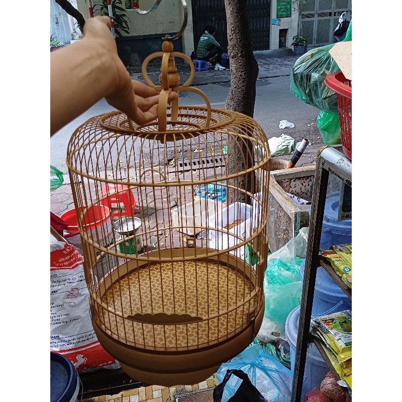 lồng nuôi chim yến