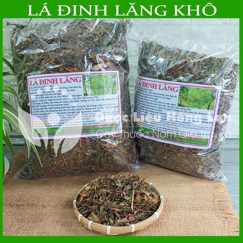 Thảo dược LÁ ĐINH LĂNG khô loại 1 đóng gói 500gram - congtyduoclieuhonglan