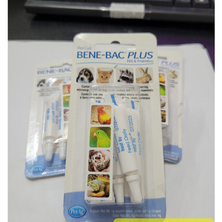 Men tiêu hóa cho chó mèo Bene bac plus