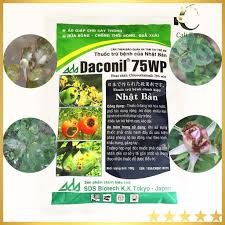 Daconil 75wp 100gr - Thuốc Trừ Bệnh Nhật Bản