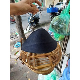 Lồng gáy quả đào