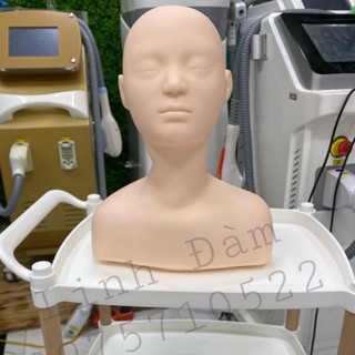Manocanh mặt, manocanh nửa người dùng để học massage vai gáy và mặt