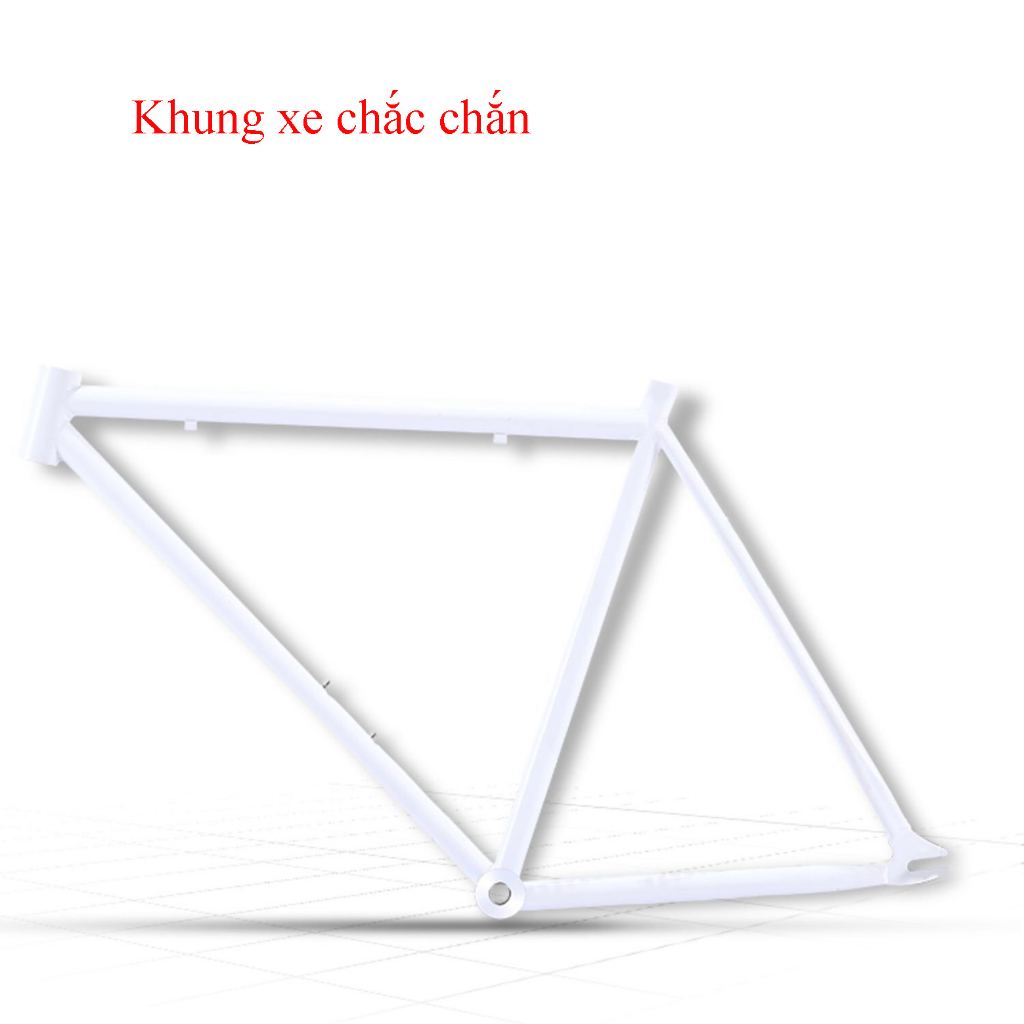 Xe đạp đường phố Fixed Gear