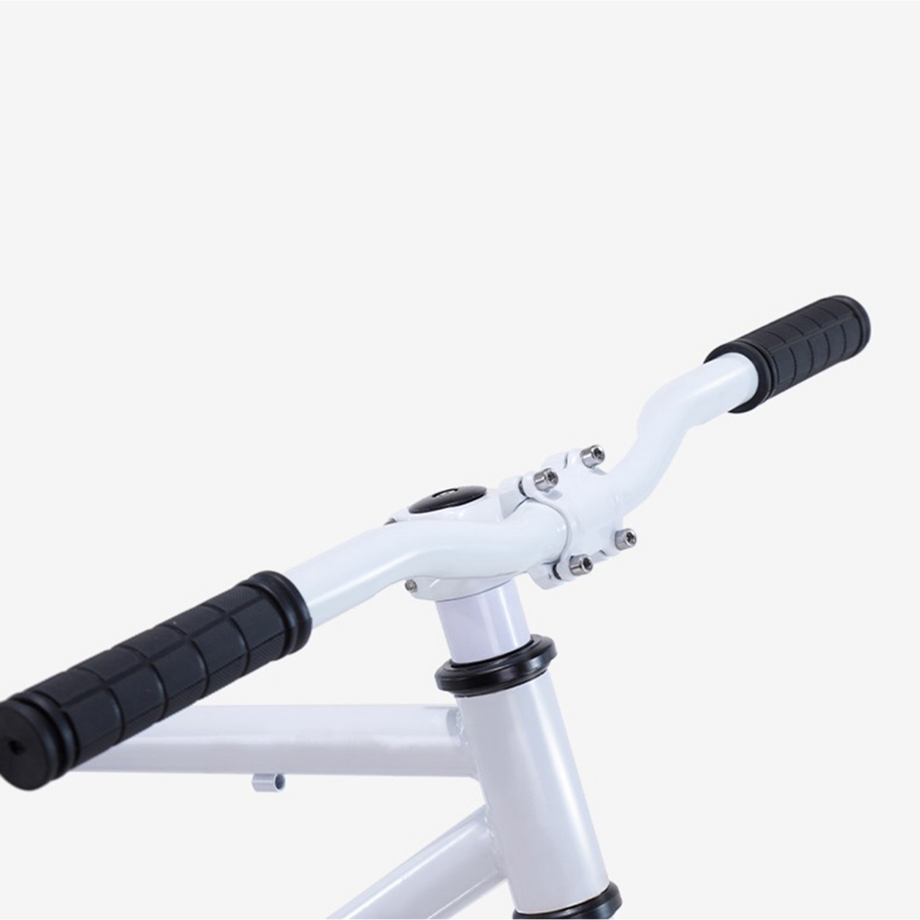 Xe đạp đường phố Fixed Gear