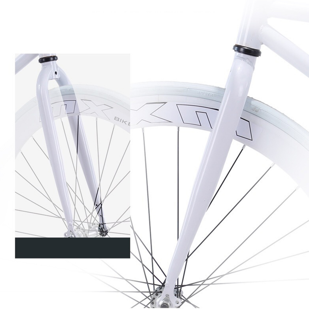 Xe đạp đường phố Fixed Gear
