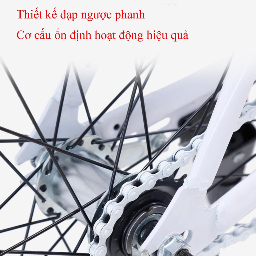 Xe đạp đường phố Fixed Gear