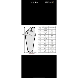 Giày bệt búp bê bigsize 40 đến 45