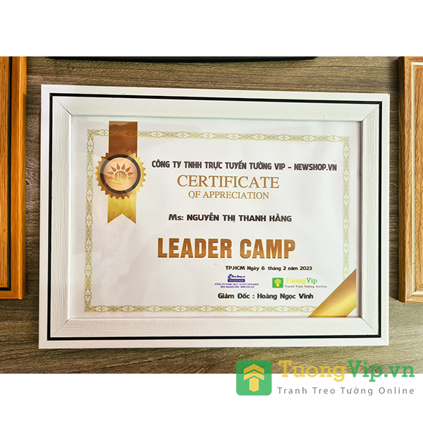 Khung Ảnh-Khung Bằng Khen 21X30cm /25x35cm/ 30x42cm Viền Khung Hiện Đại Composite,Mặt Mica Treo Tường Để Bàn