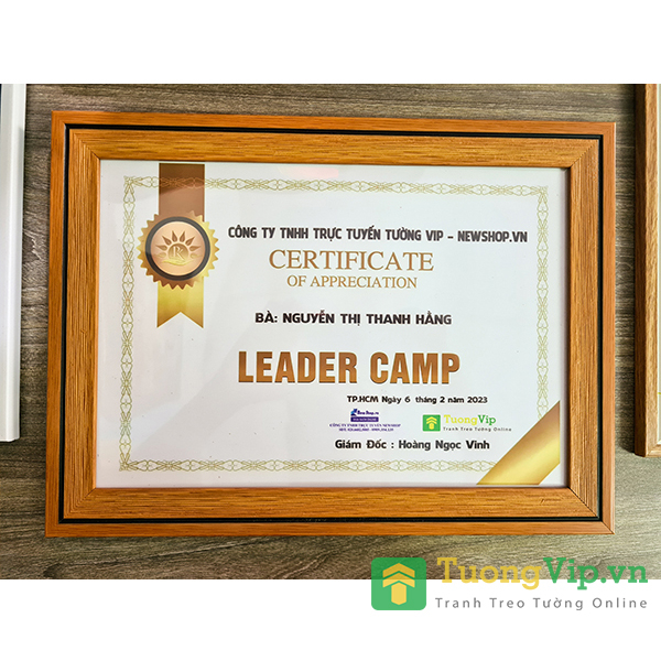 Khung Ảnh-Khung Bằng Khen 21X30cm /25x35cm/ 30x42cm Viền Khung Hiện Đại Composite,Mặt Mica Treo Tường Để Bàn