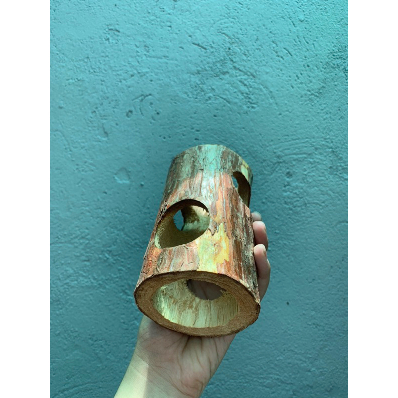 Ống Chui Gốc Cây cho Hamster, Sóc