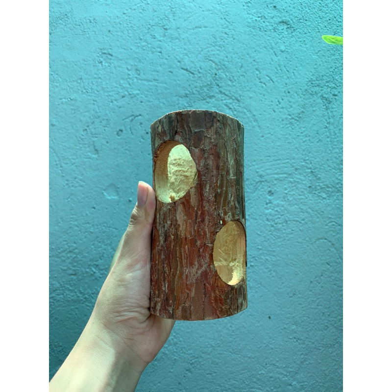 Ống Chui Gốc Cây cho Hamster, Sóc