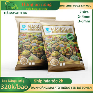 Bao 10kg đá khoáng Maifan ( Masato Ba ) chuyên dùng trồng sen đá, xương rồng, bonsai size 2-4mm và 3-6mm