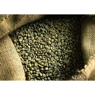 Cà phê nhân xanh Robusta