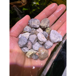 Đá nhặt của vật liệu lọc matrix- làm trong nước, khử tanh bể cá